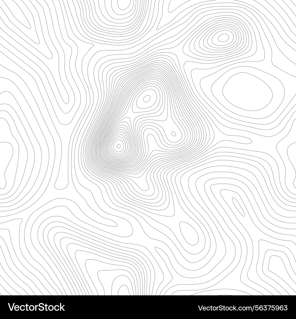 Seamless topographic map background line Seamless topographic map background line vector image