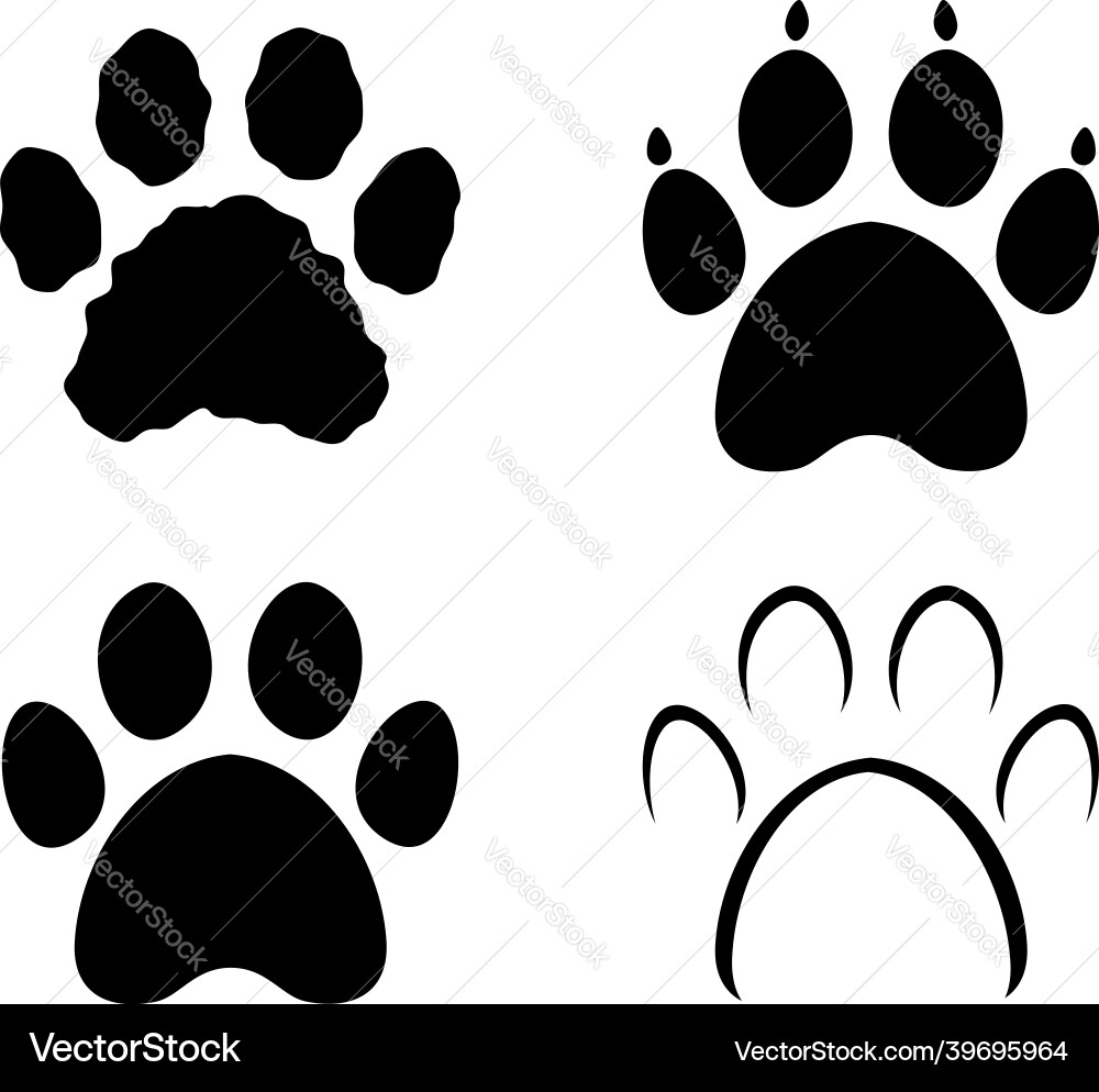 Animal Paw Prints Collection vector image