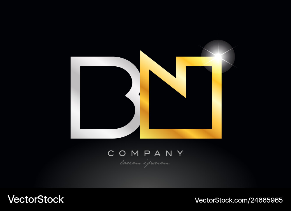 Gold & Silver Initial Logo - BN Combination Vector Image