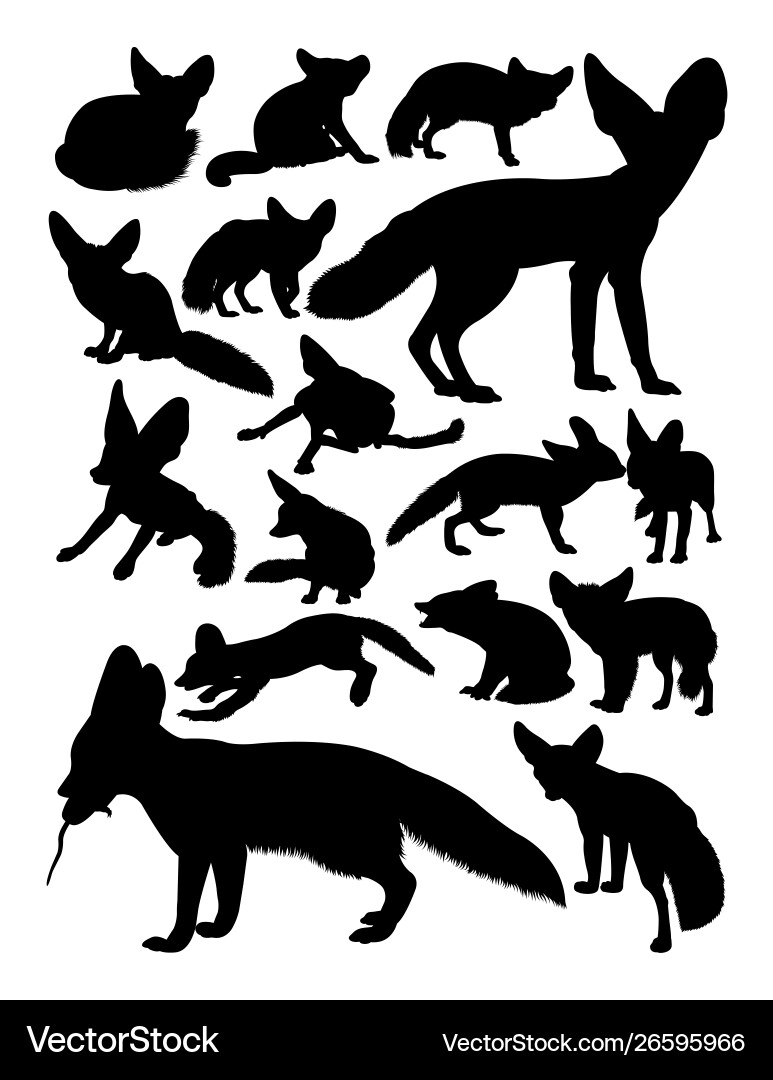 Fennec fox animal silhouettes Fennec fox animal silhouettes vector image