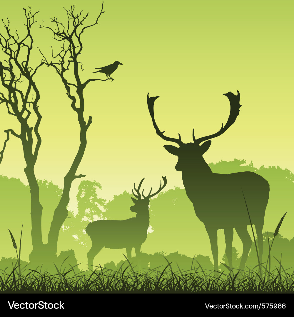 Silhouetted Stag in Meadow vector image