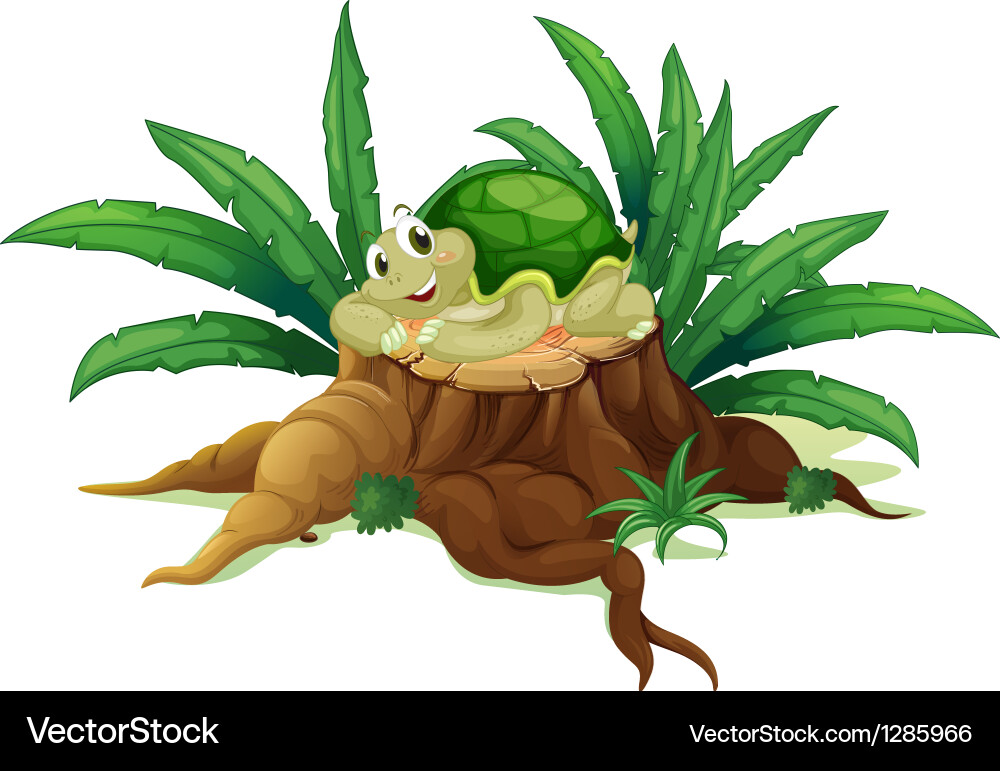 Turtle on Tree Trunk Vector Image