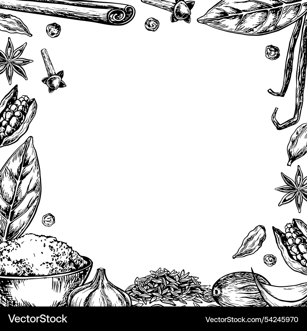 Frame with spices graphics depicting Frame with spices graphics depicting vector image