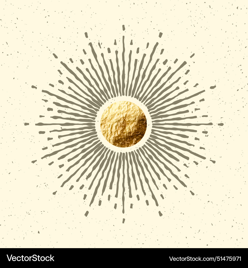Vintage grunge sunburst sunset beams gold foil Vintage grunge sunburst sunset beams gold foil vector image