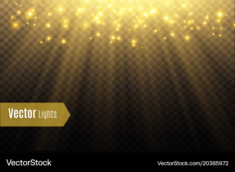Light flare special effect with rays of Vector Image
