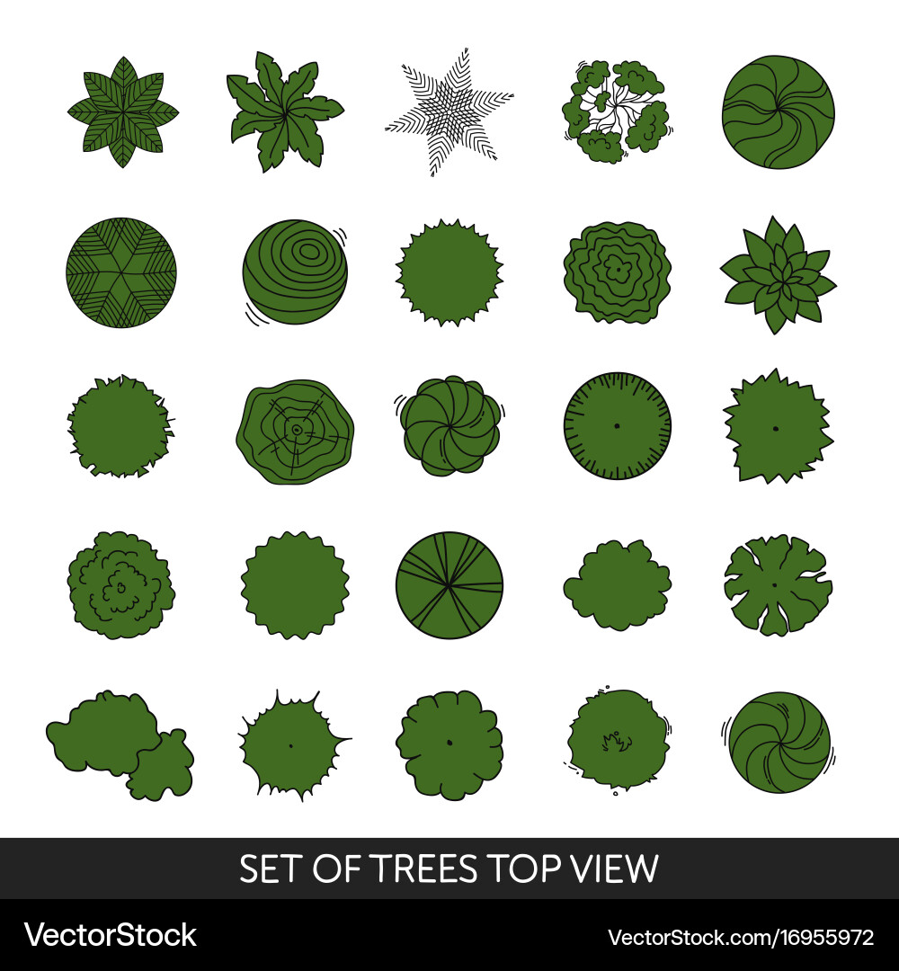 Tree Top Views vector image
