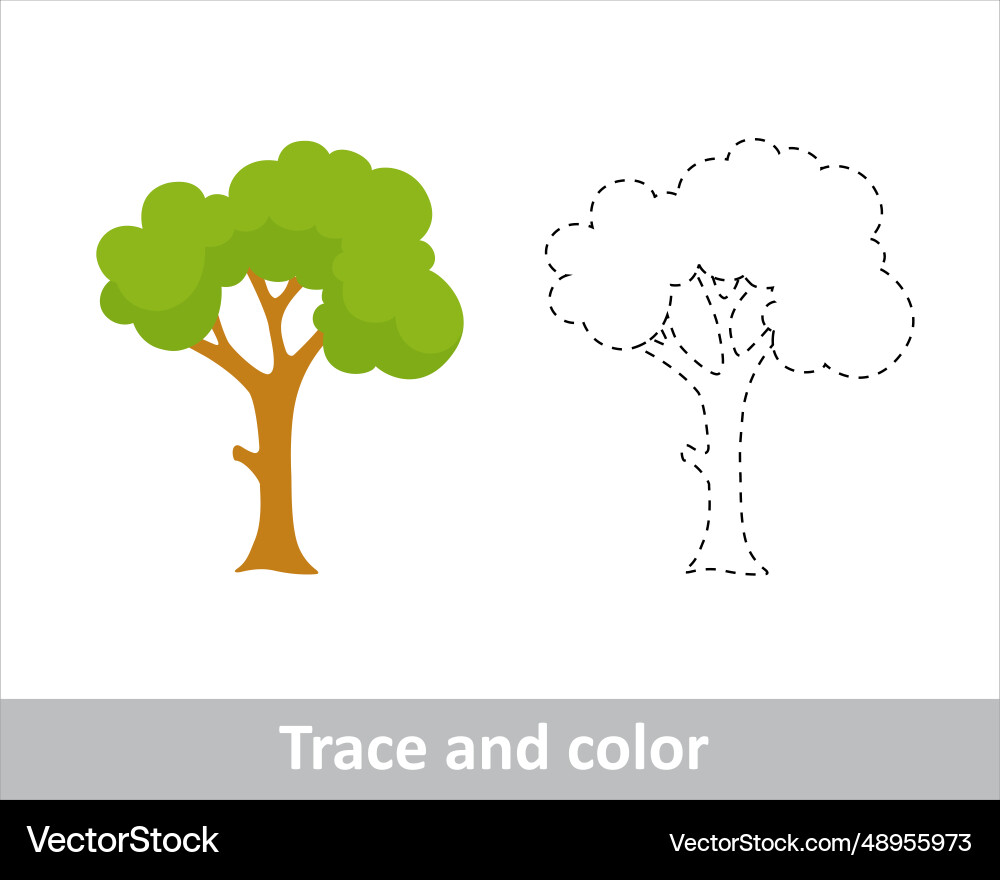 Trace & Color Tree Activity vector image