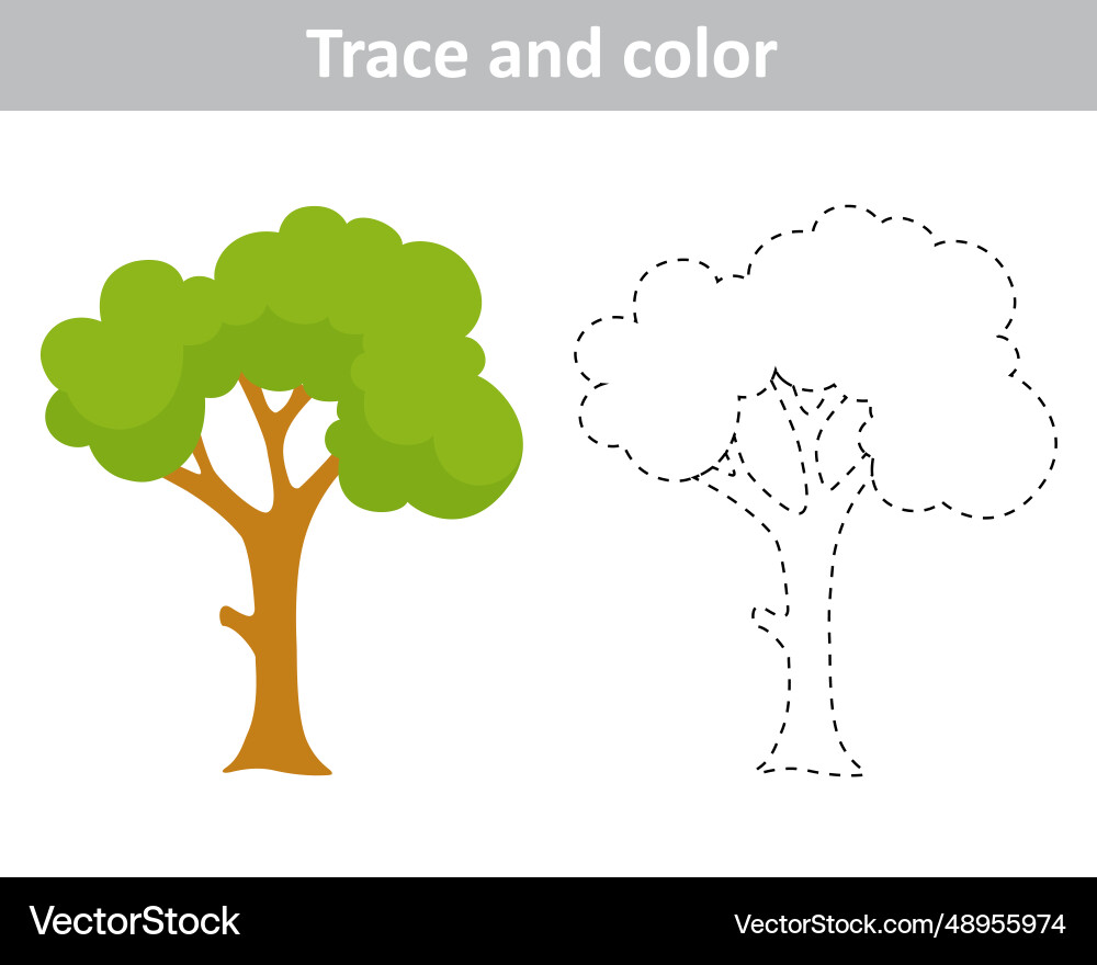 Trace and color tree Royalty Free Vector Image