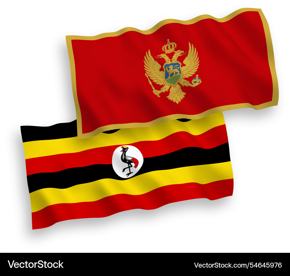Flaggen von montenegro und uganda auf einem weißen Flaggen von montenegro und uganda auf einem weißen vektorbild