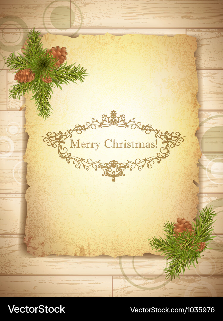 Rustic Grunge Christmas Paper vector image