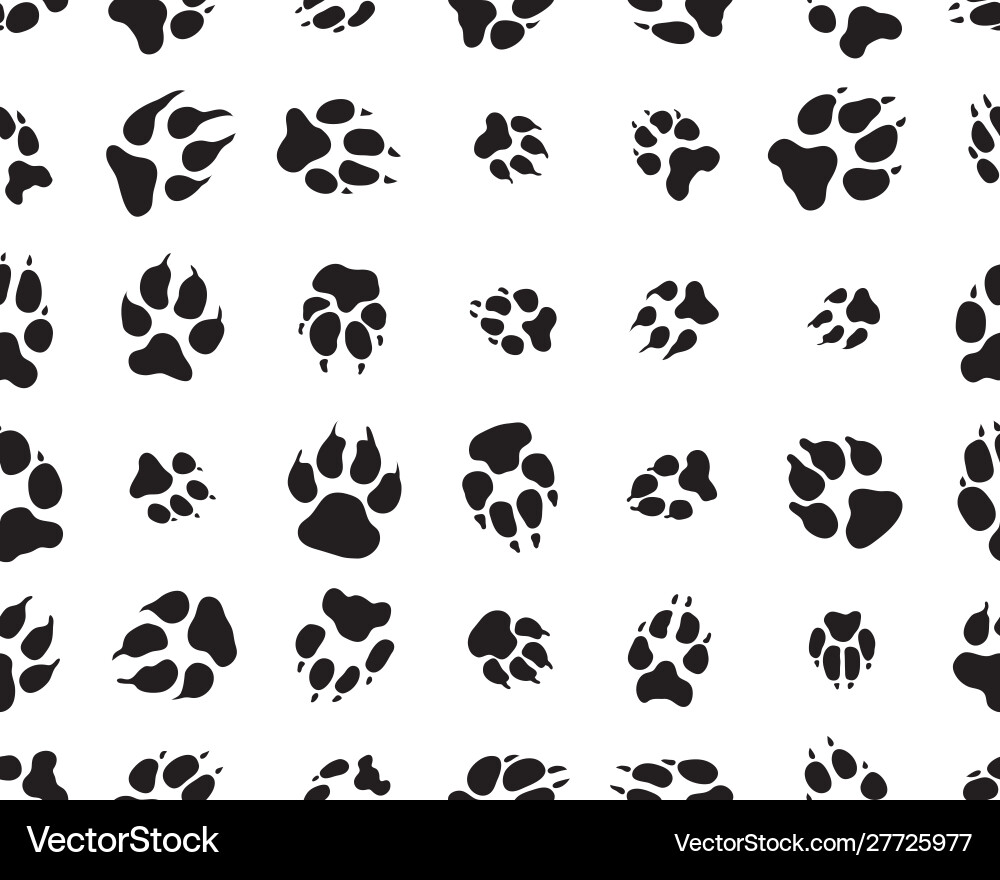 Dog Paw Prints Pattern Vector Image