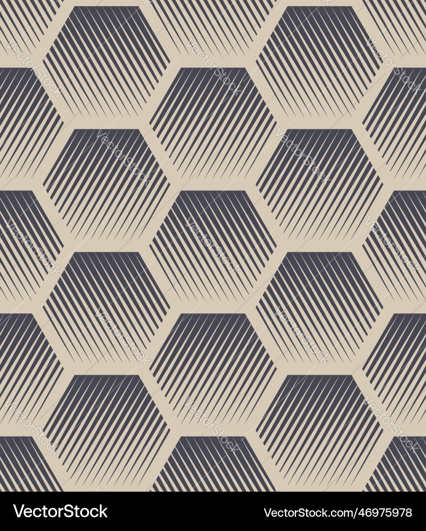 Retro Hexagon Hatching Pattern vector image