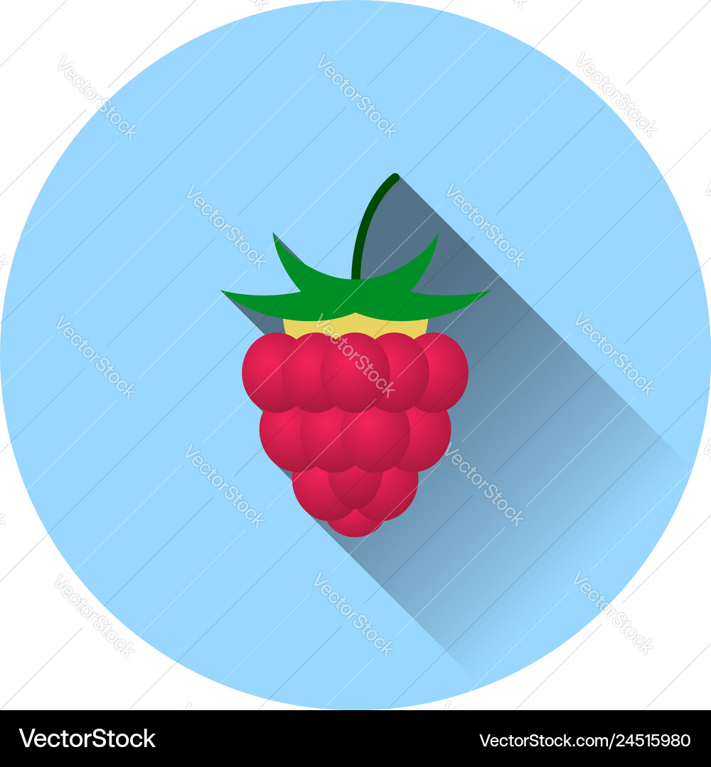 Flat design icon of raspberry Flat design icon of raspberry vector image