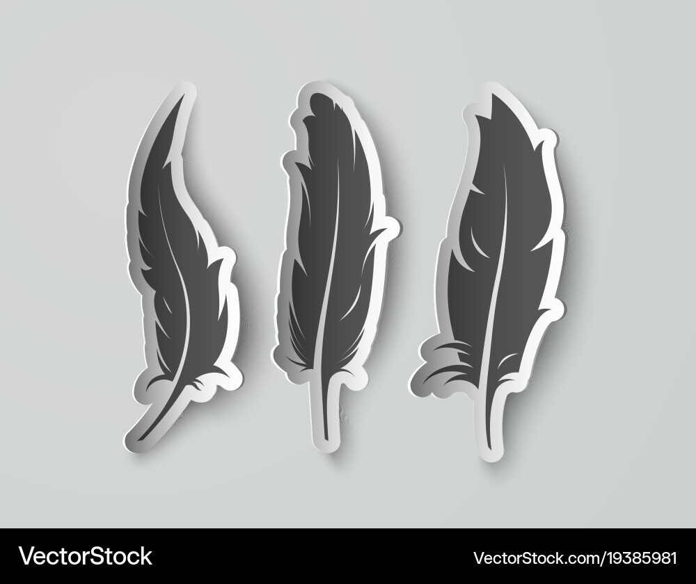 Isolated Paper Feathers with Shadows vector image