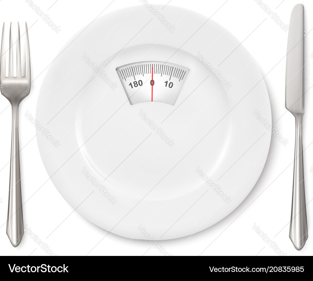 Concept of dietscale instead a meal on plate vector image