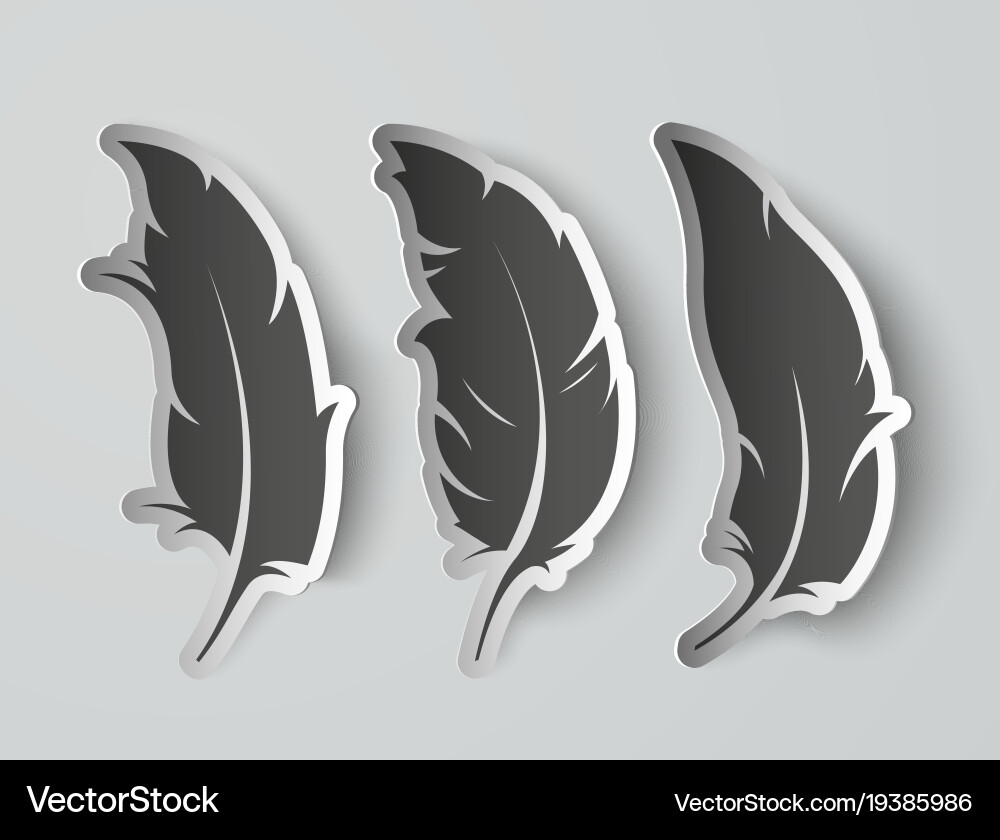 Set isolated paper feathers with shadows Vector Image