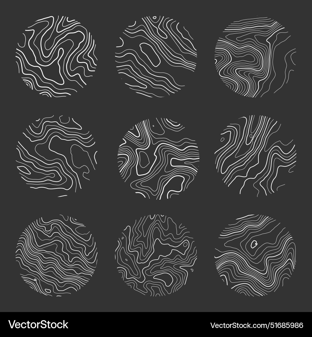 Topographic map with contour lines geographic Topographic map with contour lines geographic vector image