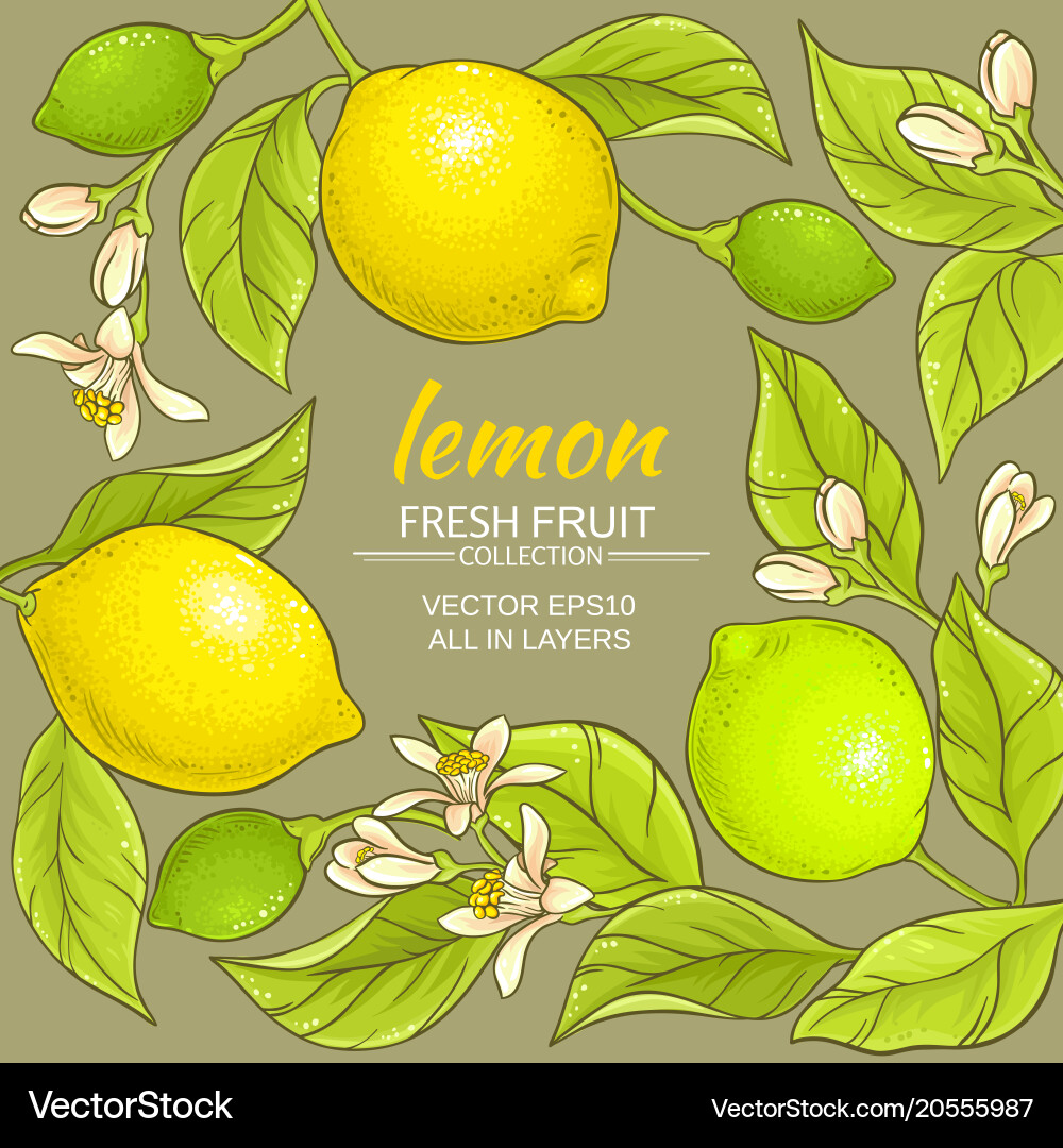 Lemon frame Royalty Free Vector Image - VectorStock