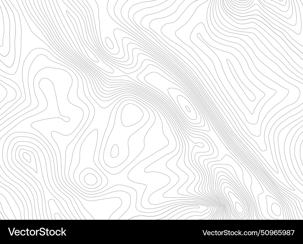 Seamless topographic map background line Seamless topographic map background line vector image