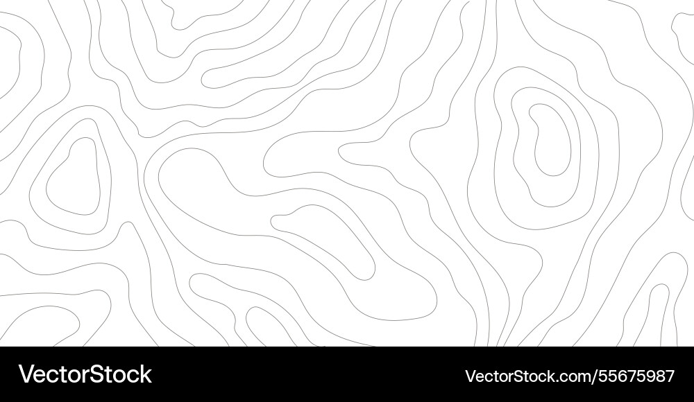 Topographic map lines retro geometric abstract Vector Image