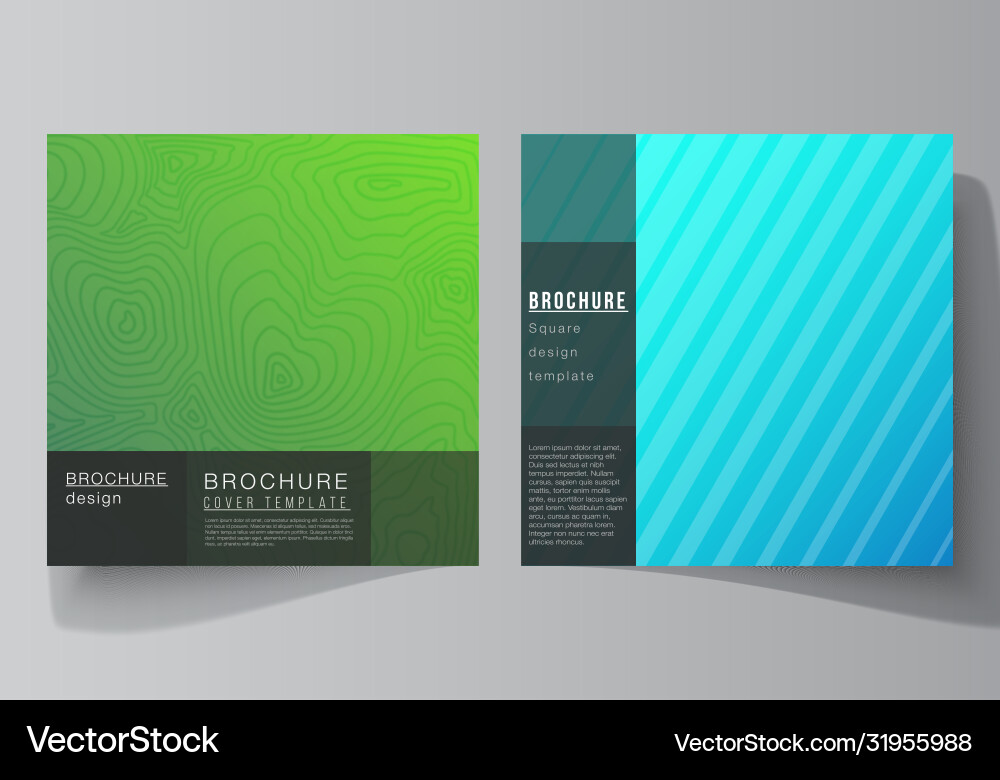 Minimal editable layout Vector Image
