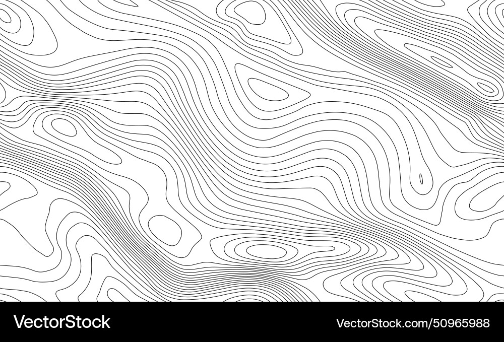 Seamless topographic map background line Seamless topographic map background line vector image