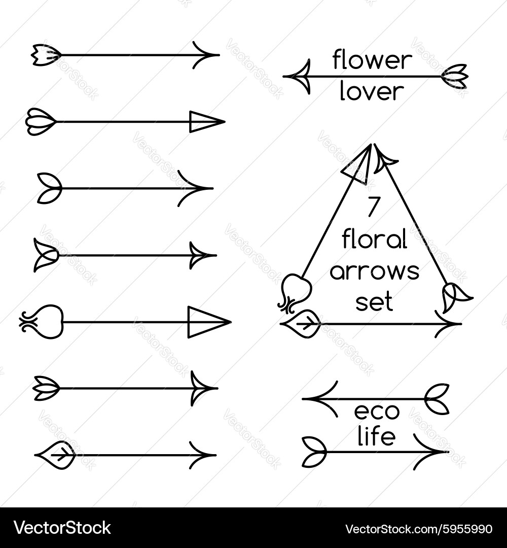 Floral Arrow Line Art Set Vector Image