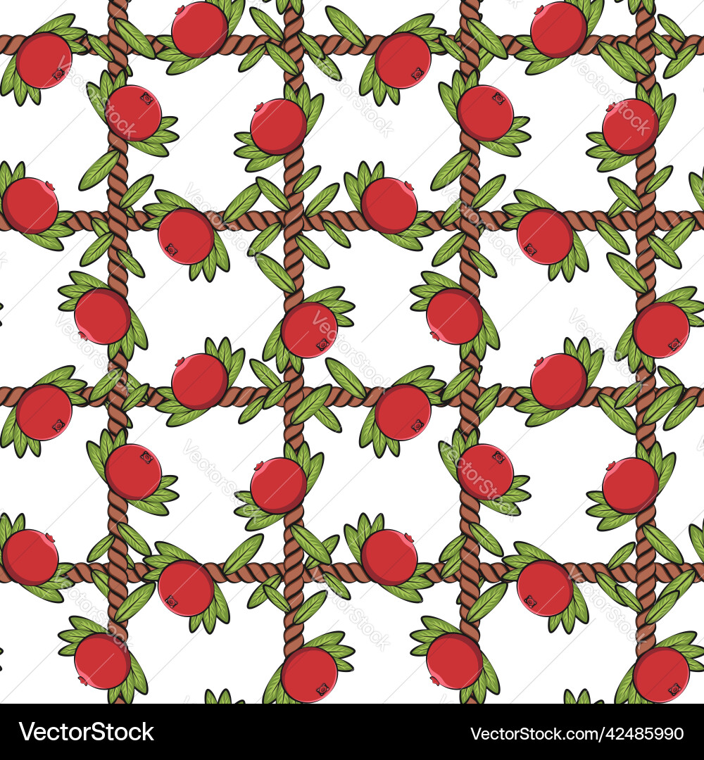 Seamless pattern net of the cord with cranberries Seamless pattern net of the cord with cranberries vector image