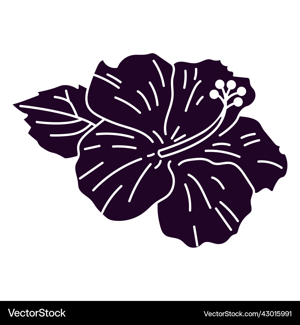 Hibiscus flower cut out Royalty Free Vector Image