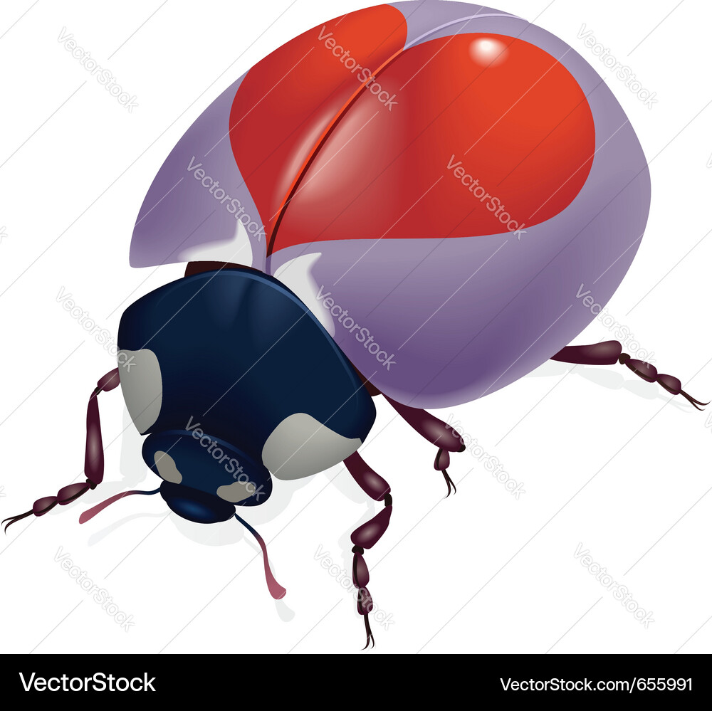 Red heart bug Vector Image