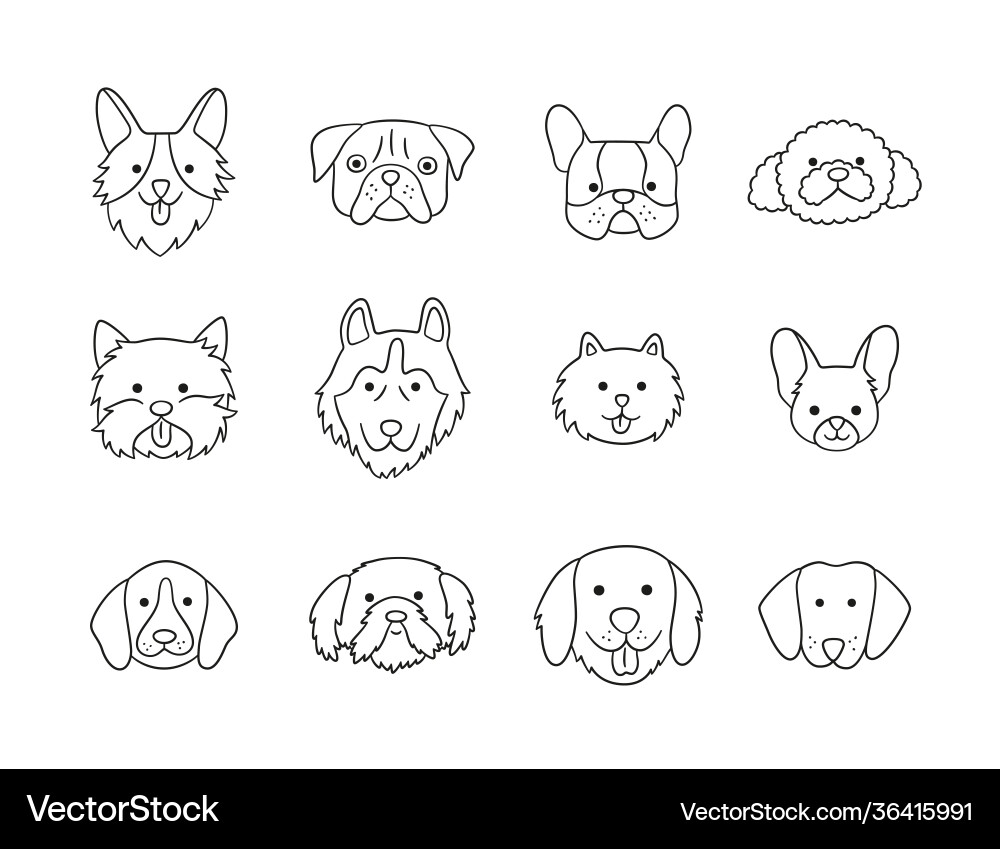 Set Köpfe verschiedene Rassen Hunde corgi pug Set Köpfe verschiedene Rassen Hunde corgi pug vektorbild
