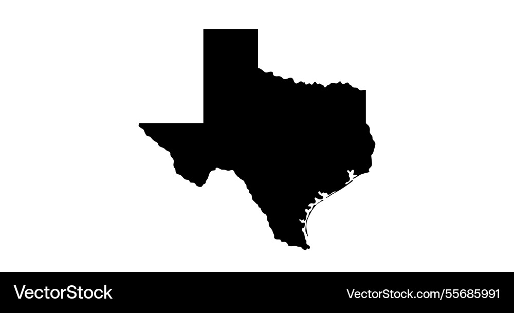 Texas State Outline vector image