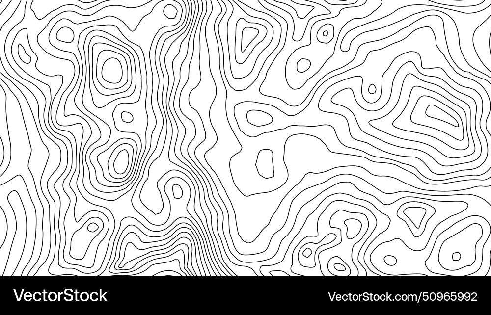 Seamless topographic map background line Seamless topographic map background line vector image