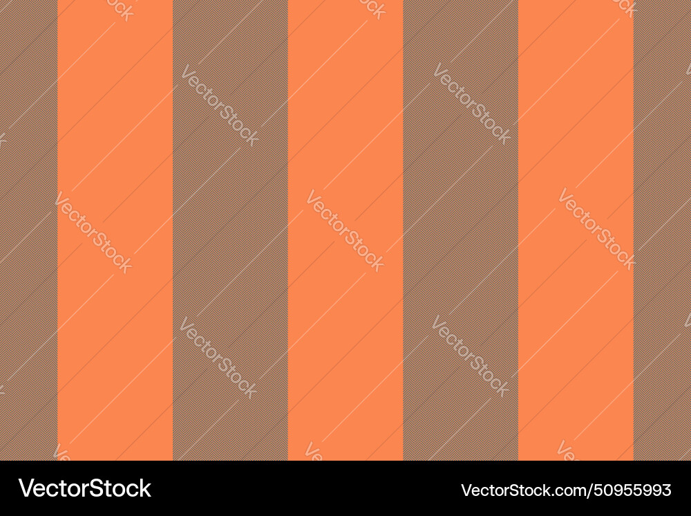 Vertical lines stripe background stripes pattern Vector Image