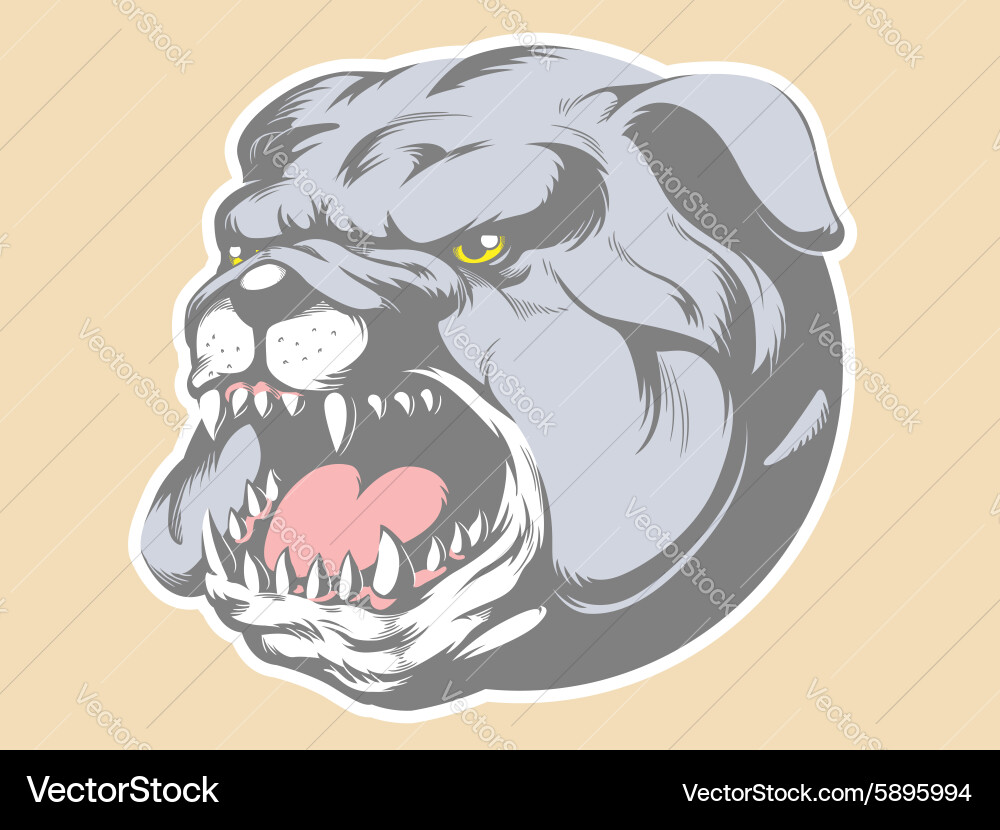 Aggressive Bulldog Head Vector Image