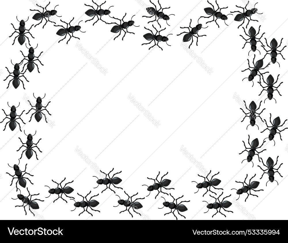 Black ants creating a blank rectangular frame Black ants creating a blank rectangular frame vector image