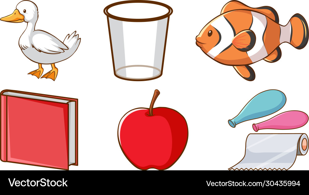 Large set different animals and other objects Large set different animals and other objects vector image