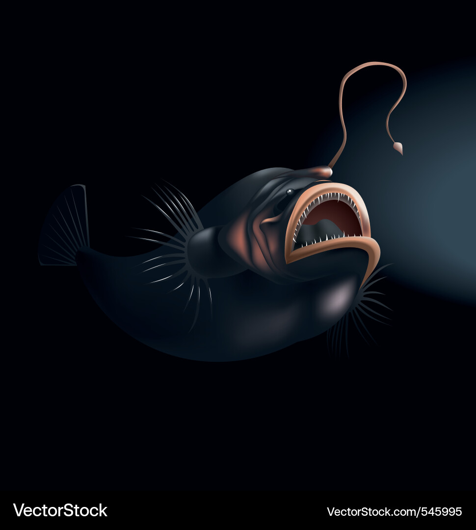 Deepwater Anglerfish Vector Image