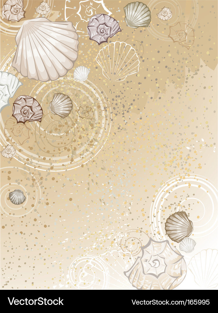 Seashells on the sand Royalty Free Vector Image