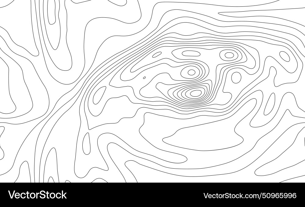 Seamless topographic map background line Seamless topographic map background line vector image