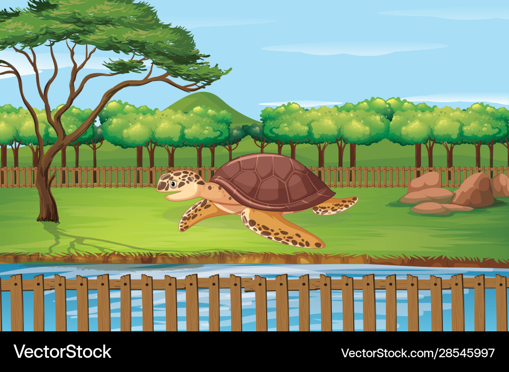 Scene with turtle at zoo Scene with turtle at zoo vector image