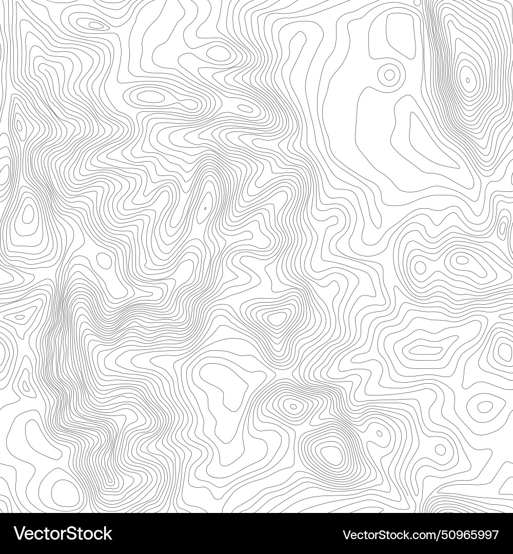 Seamless topographic map background line Seamless topographic map background line vector image