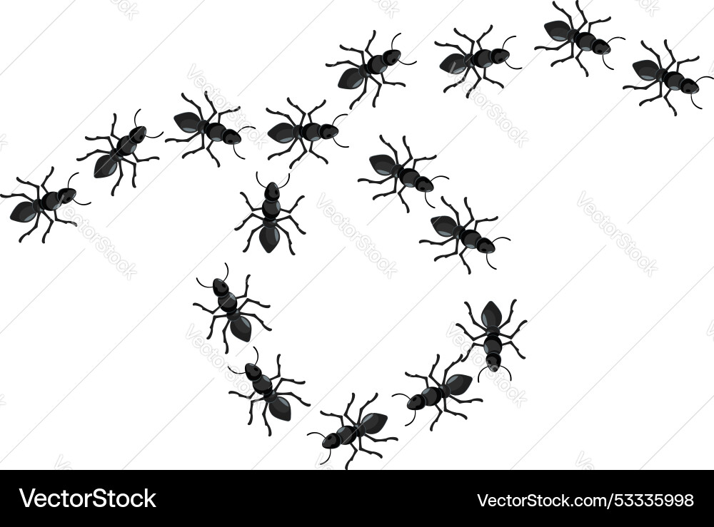 Ants marching in a circle on white background Vector Image