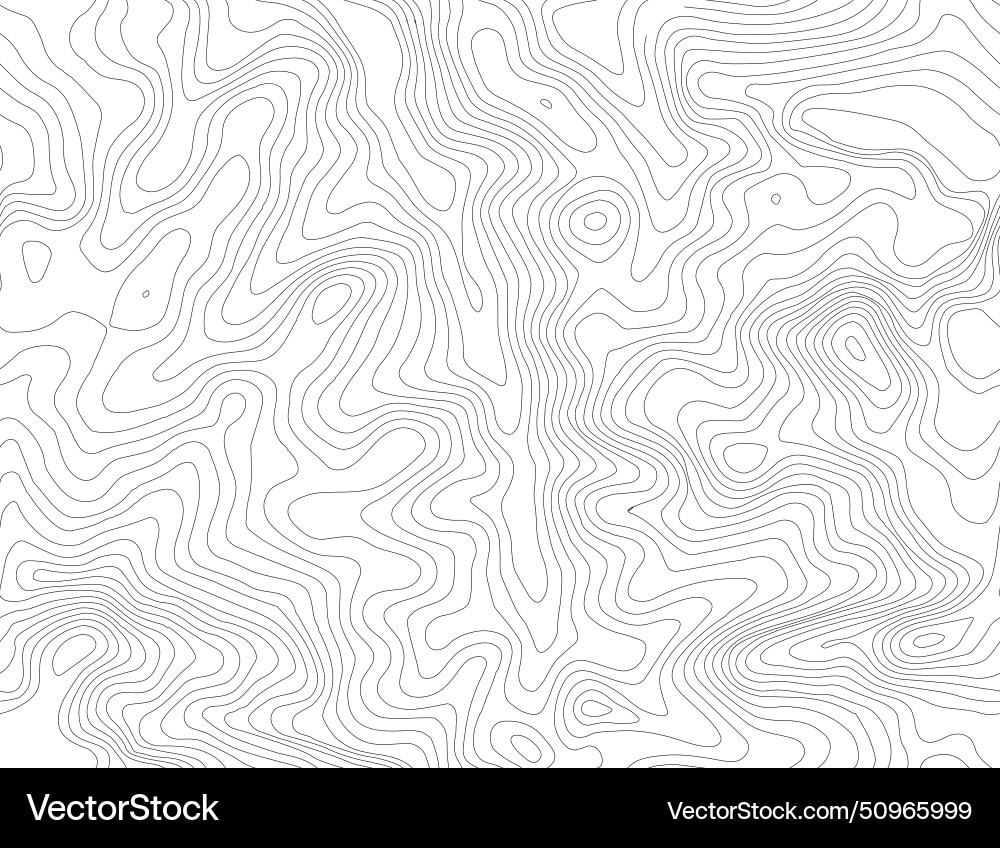 Seamless topographic map background line vector image