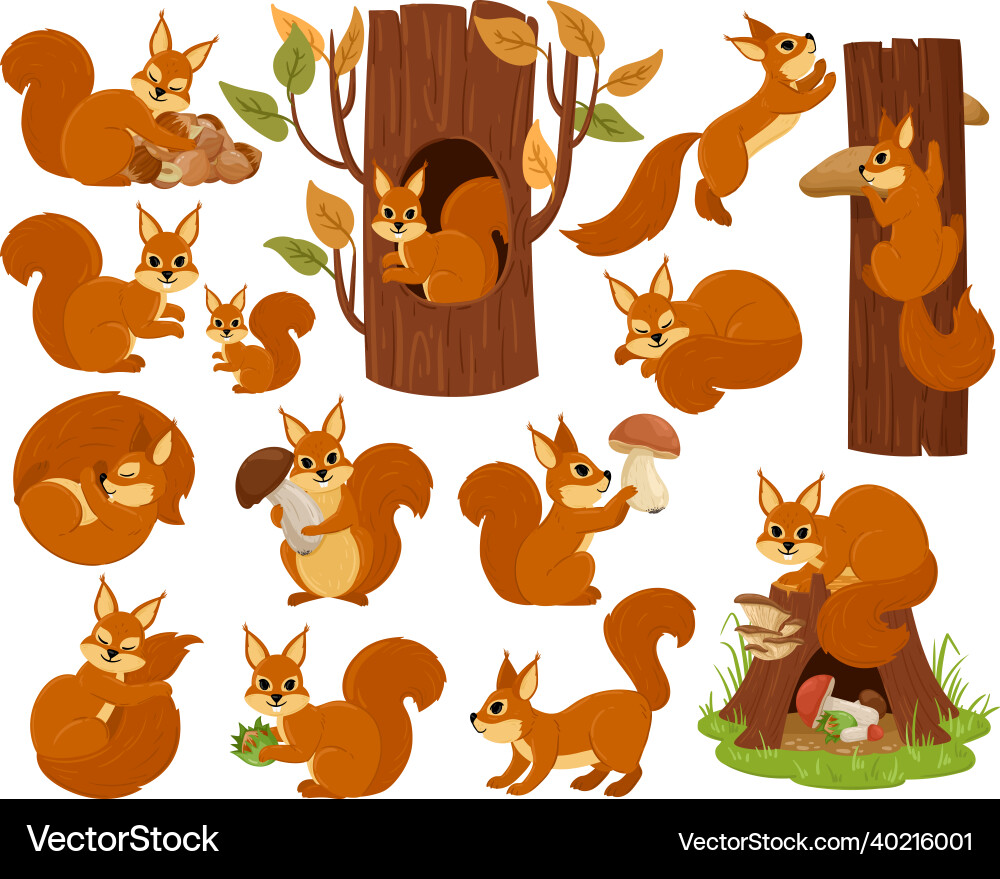 Cartoon squirrel woodland animal character Cartoon squirrel woodland animal character vector image