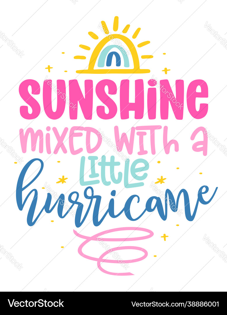 Sunshine mixed with a little hurricane vector image