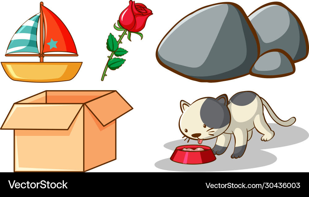 Large set different animals and other objects Large set different animals and other objects vector image