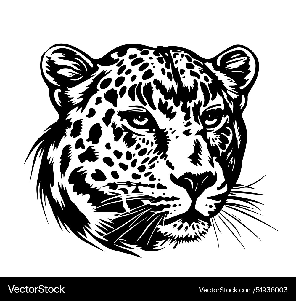 Leopard Head Portrait Vector Image