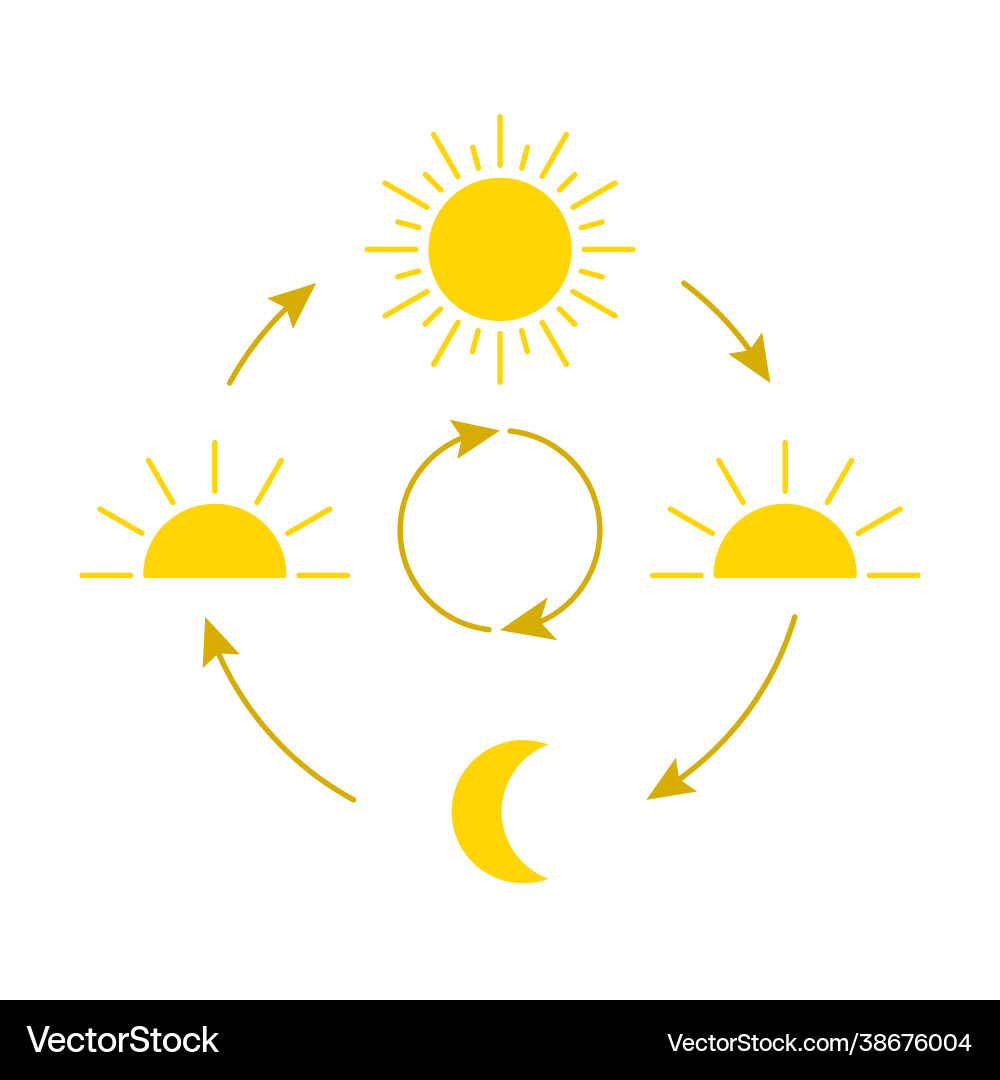 Day and Night Cycle Icon – Royalty-Free Vector | VectorStock, image size:1000x1080