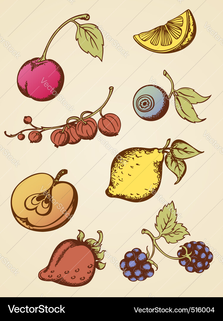 Retro Fruit Sketch Vector Image